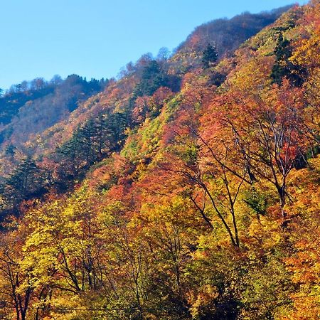 ホテルKiyotsukan 十日町市 エクステリア 写真
